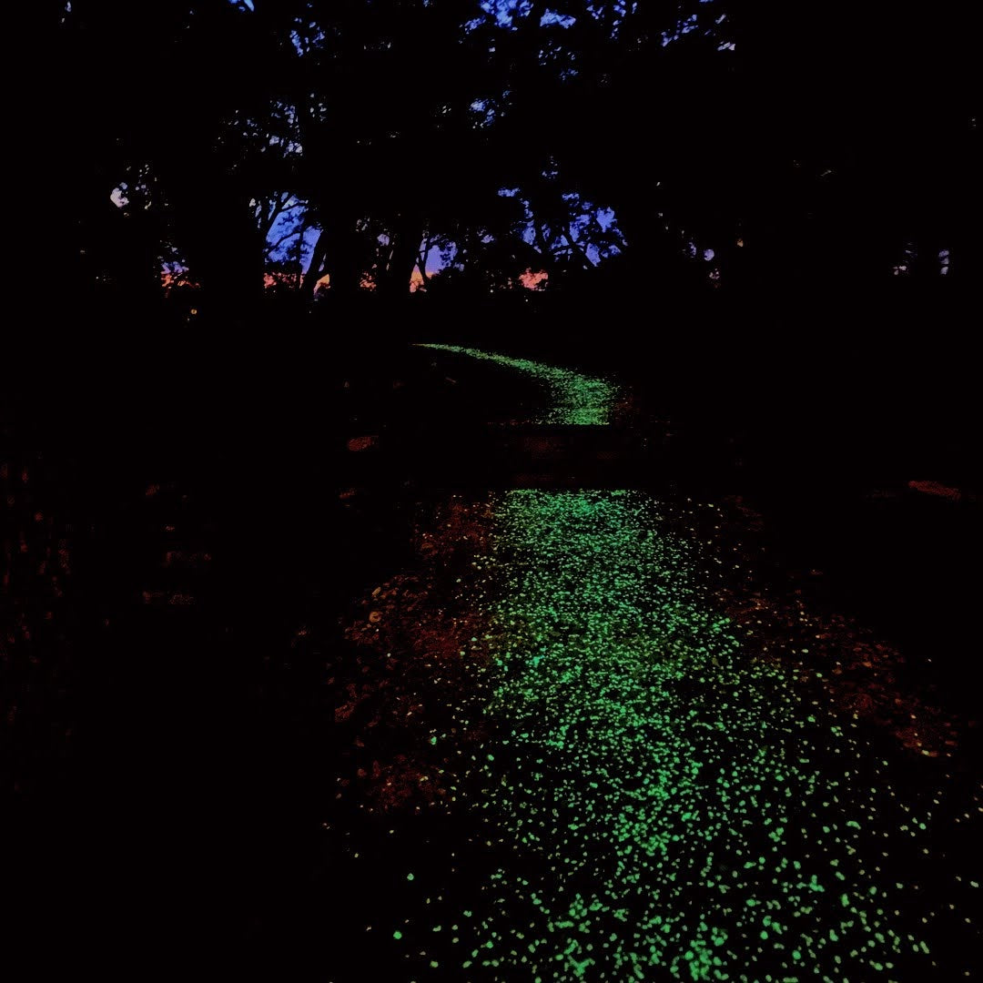 The Best Glow Stones for Night Safety: A Homeowner’s Guide