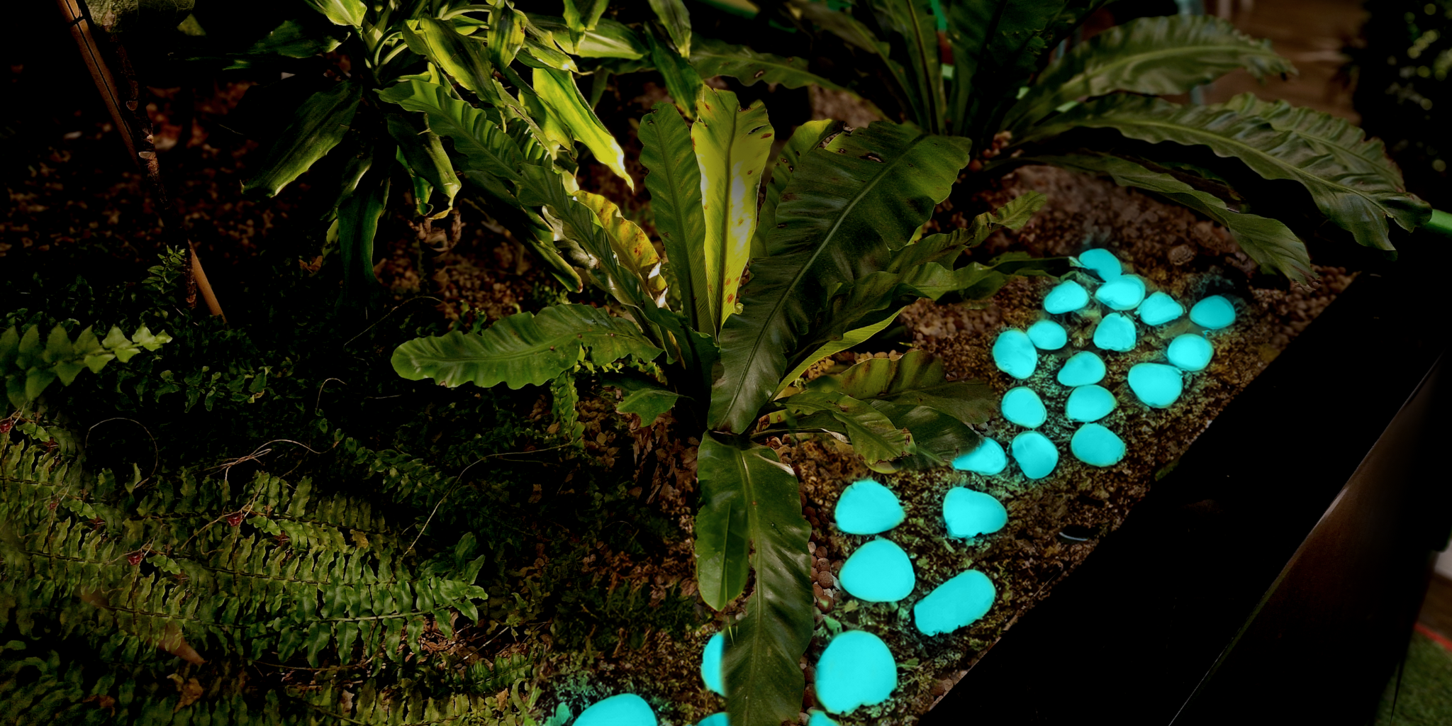 1" Glow Pebbles / Glow in the dark Pebbles / Landscaping Pebbles / Garden Stones / Eco-Friendly / Pebbles / Garden Decor / Decorative Stones