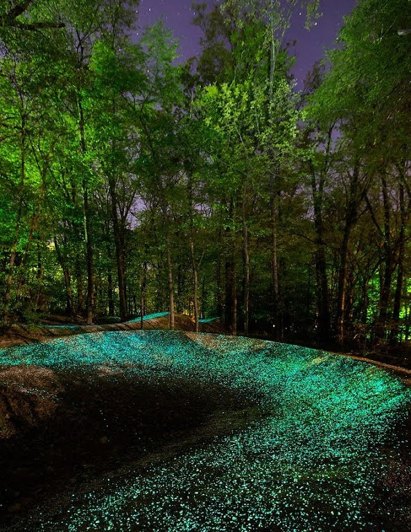 1-3mm Premium Grade Glow Sand - Green