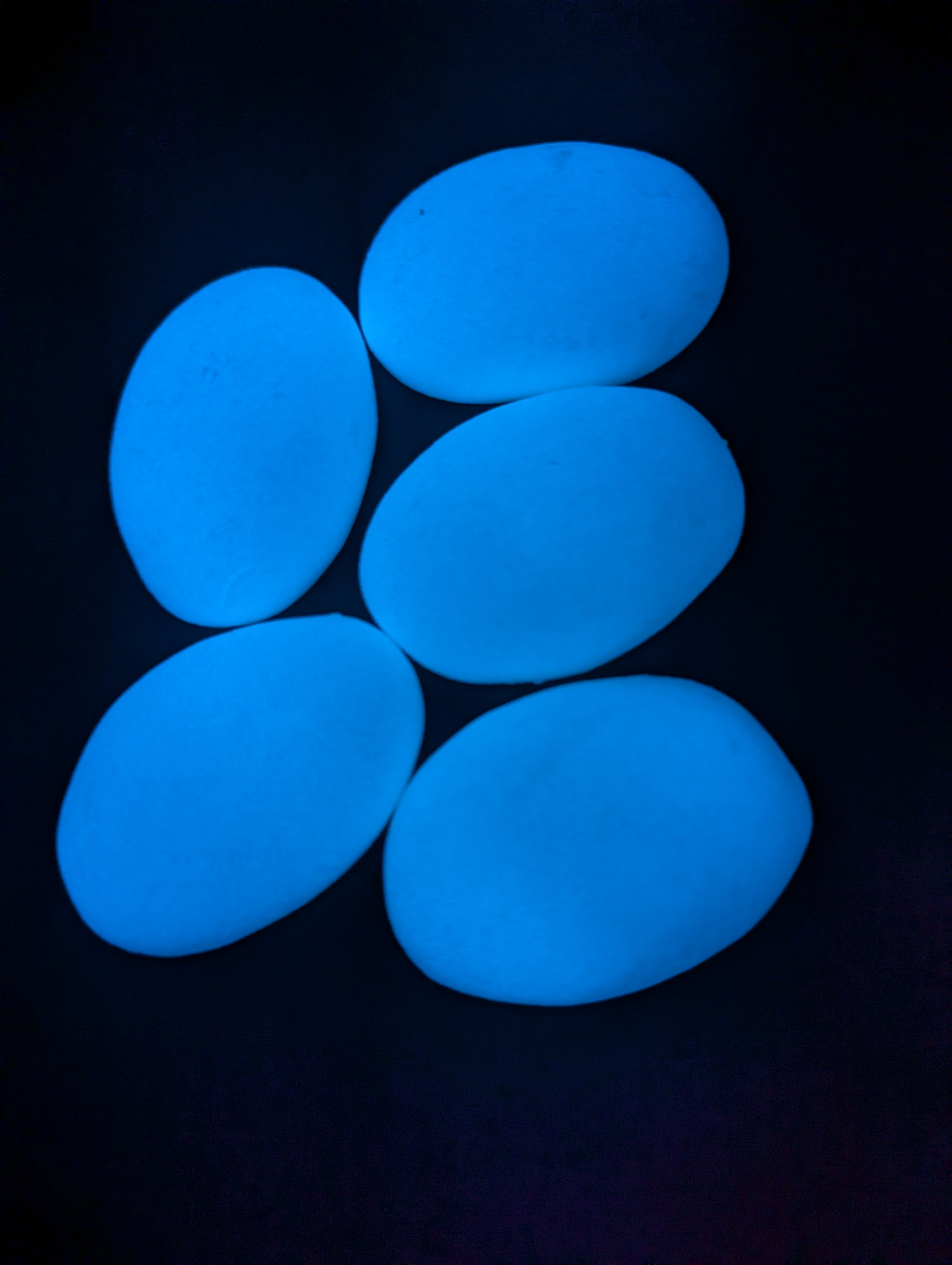 2" Glow Pebbles / Glow in the Dark Pebbles / Landscaping Stones / Garden Decor /Eco-Friendly Pebbles/ Decorative Stones / Outdoor Stones