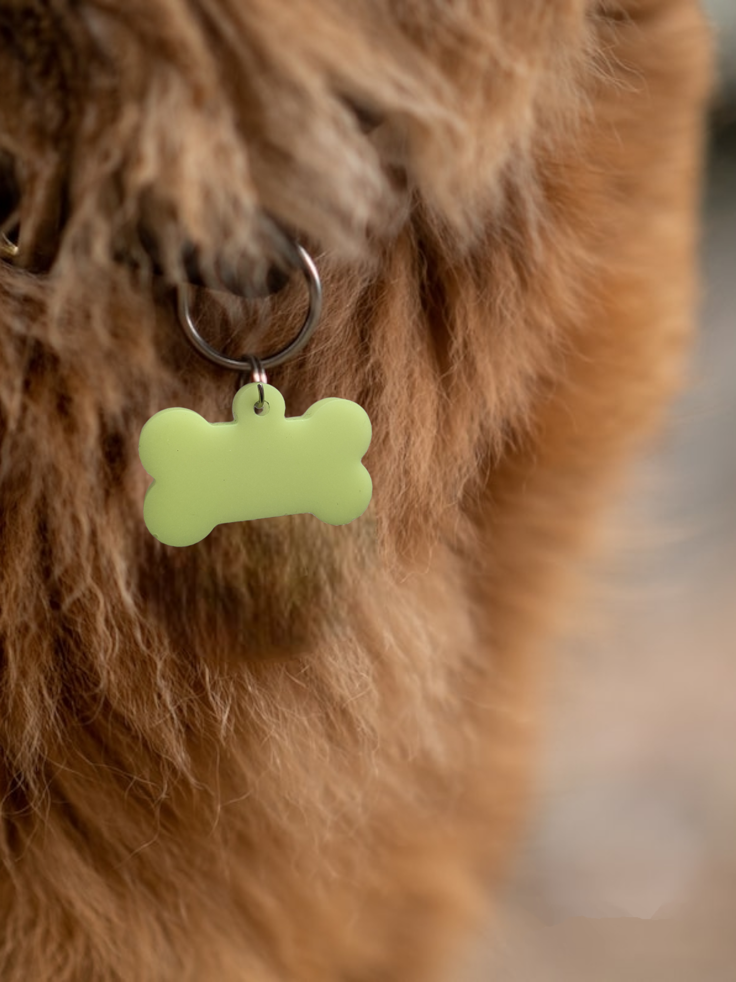 Glow in The Dark Pet Tags/GloPetTag/Dog ID Pet tags/Cat ID Pet Tags/Pet Gift/Engraved Pet tags/Pet name Tag/ID Tag/Glow Key Fob