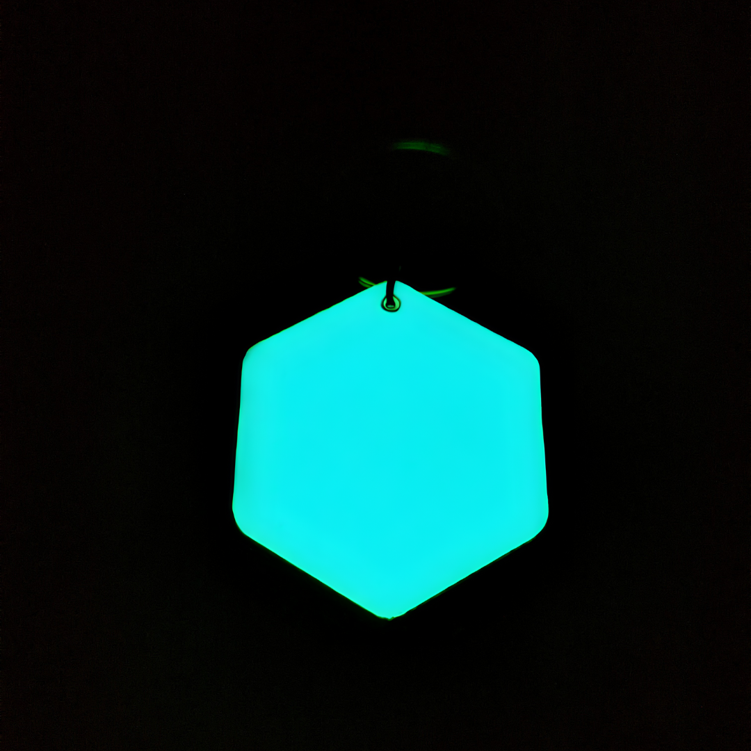 Glow in the Dark Pet Tags in Aqua Color